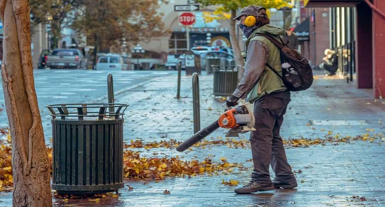 Garden Vac and Leaf Blower Buying Guide: How to Keep Your Garden Tidy