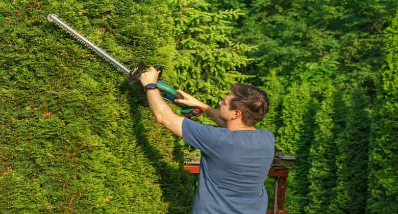 Hedge Trimmer Buying Guide: How to Choose the Right Tool for Your Garden