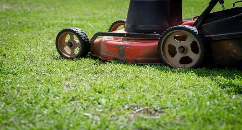 Lawn Mower Buying Guide: How to Choose the Right Lawn Mower for Your Garden